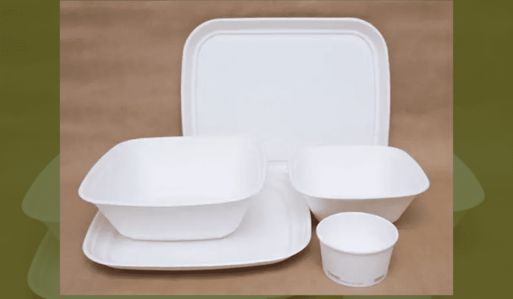 Bowls With Lids_ The Sustainable Solution for Food Delivery